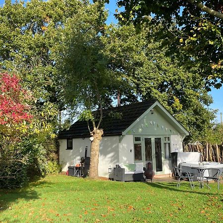 Pheasant Lodge Wimborne Minster Bagian luar foto