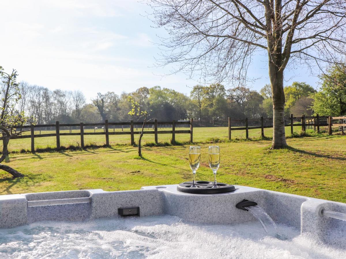Pheasant Lodge Wimborne Minster Bagian luar foto