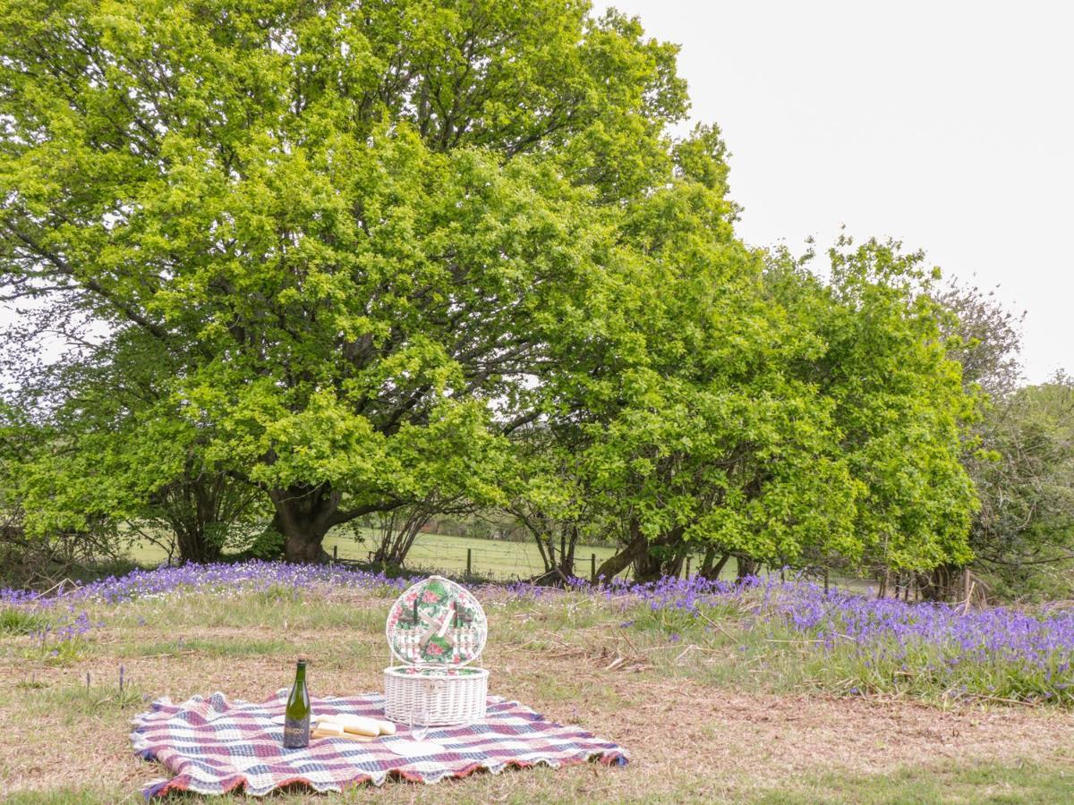 Pheasant Lodge Wimborne Minster Bagian luar foto