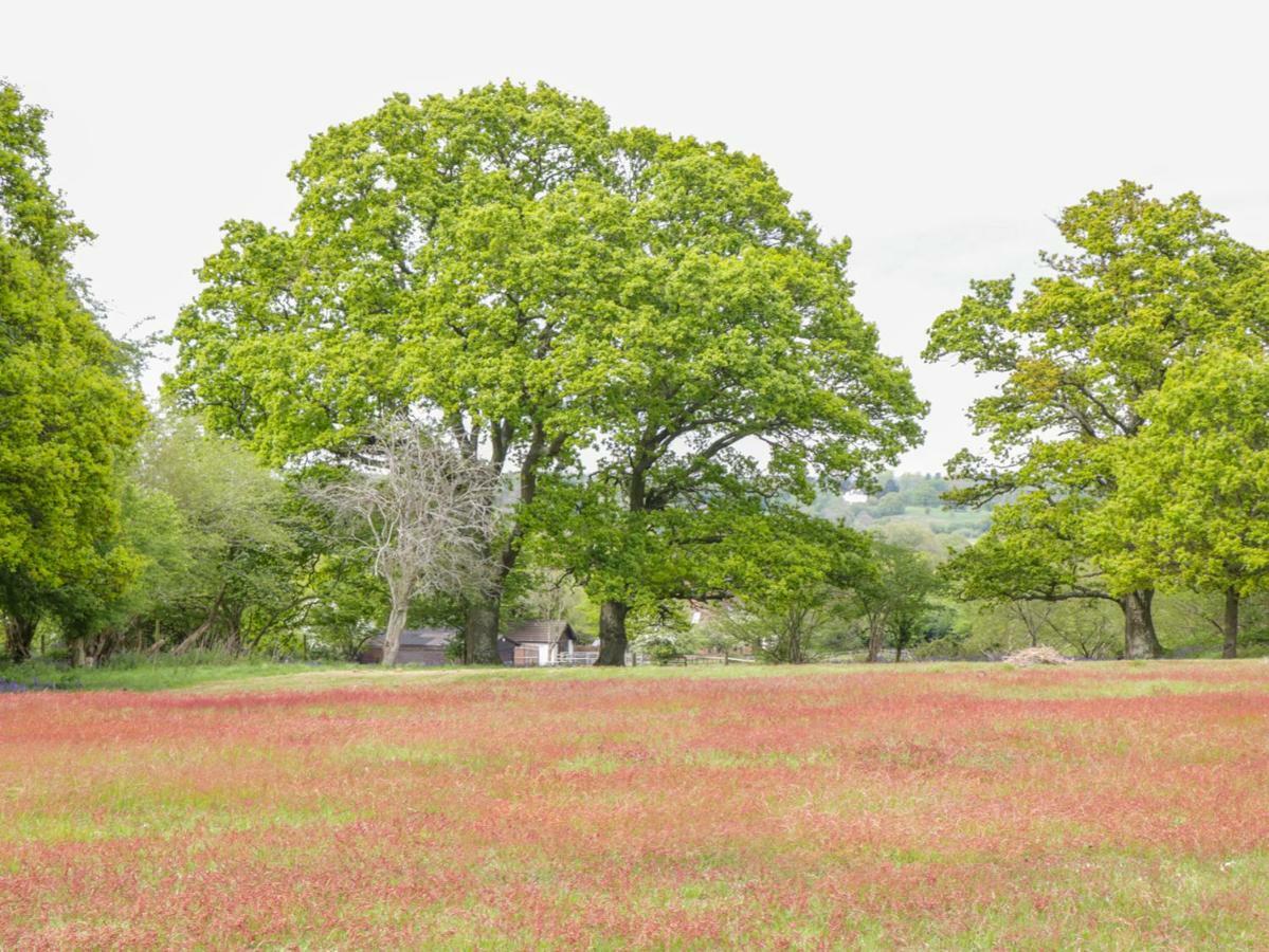 Pheasant Lodge Wimborne Minster Bagian luar foto