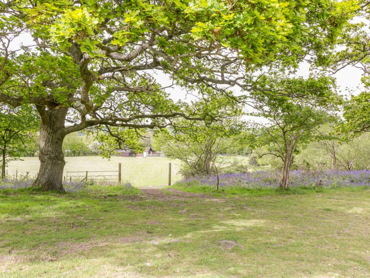Pheasant Lodge Wimborne Minster Bagian luar foto